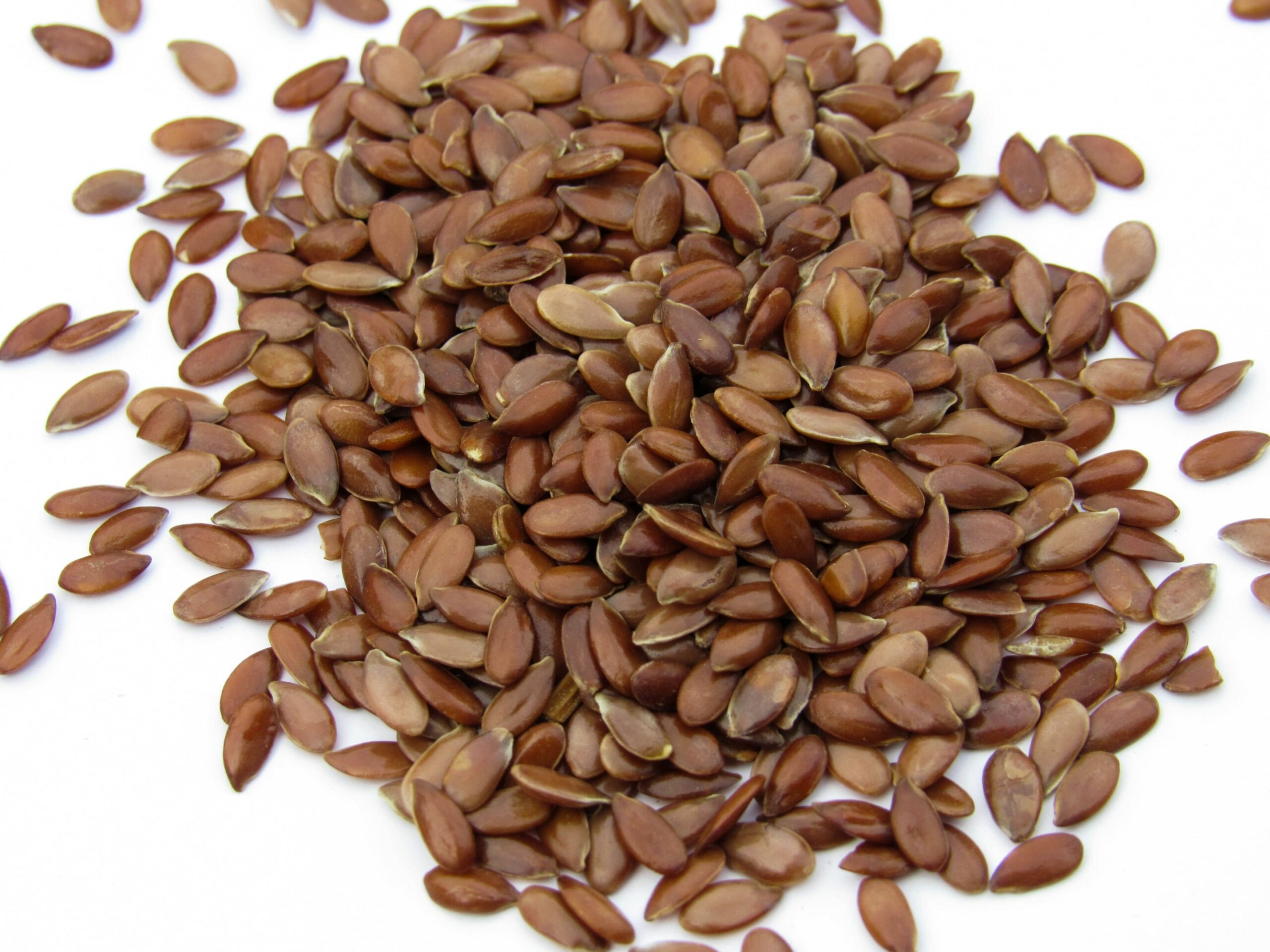 Flax seeds have high protein content.