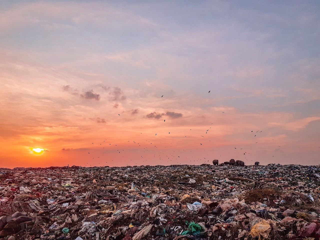 Environmentally relevant levels of chemicals still have an adverse effect.