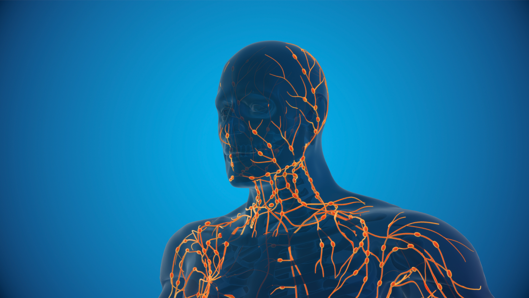 The body's lymphatic system is important in removing our toxins and excess waste.