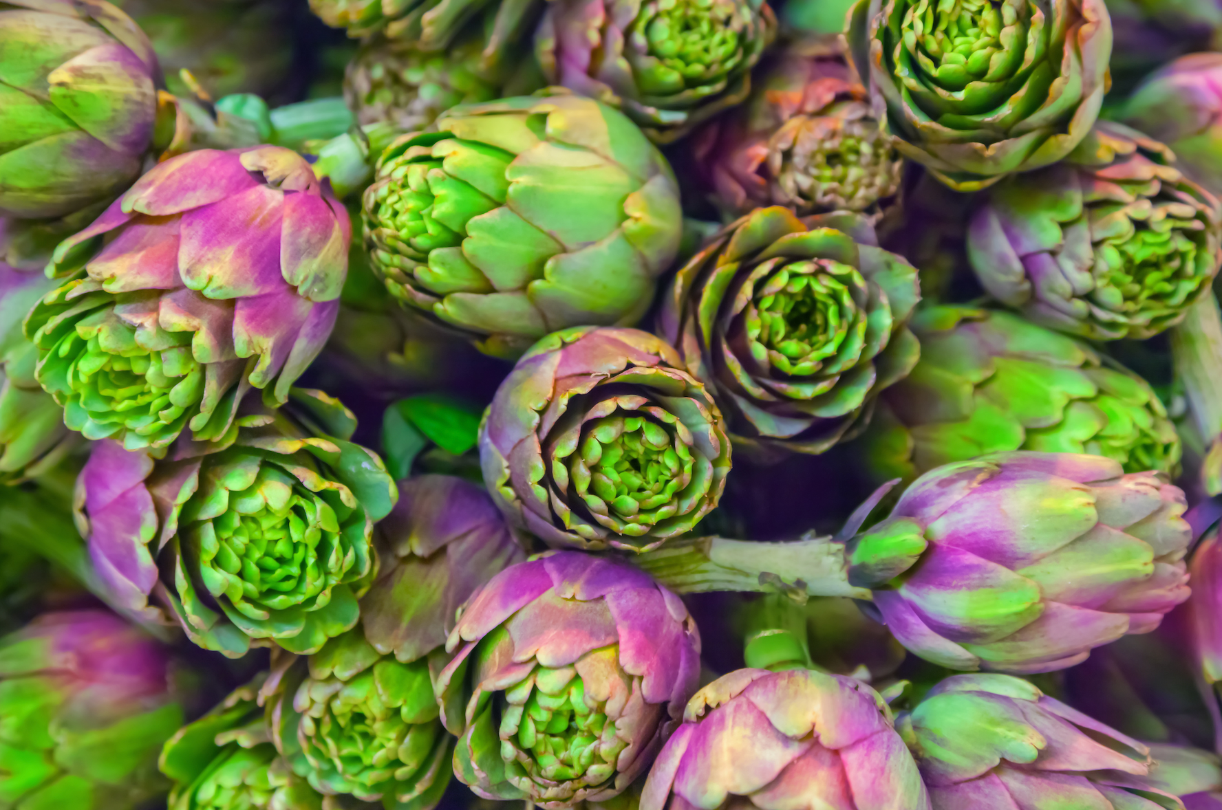 Artichokes, which are extremely good for your health, make a tasty choice for a side to many meals!