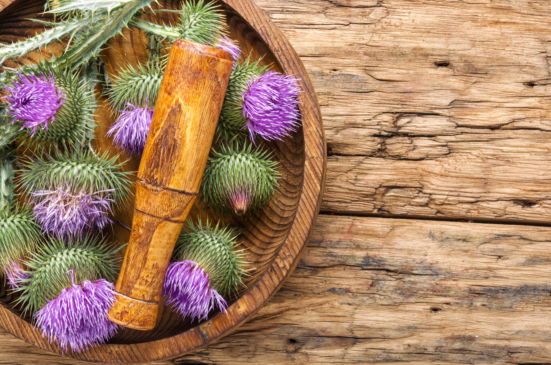 Milk thistle can help your liver and kidneys with its powerful antioxidant properties. 