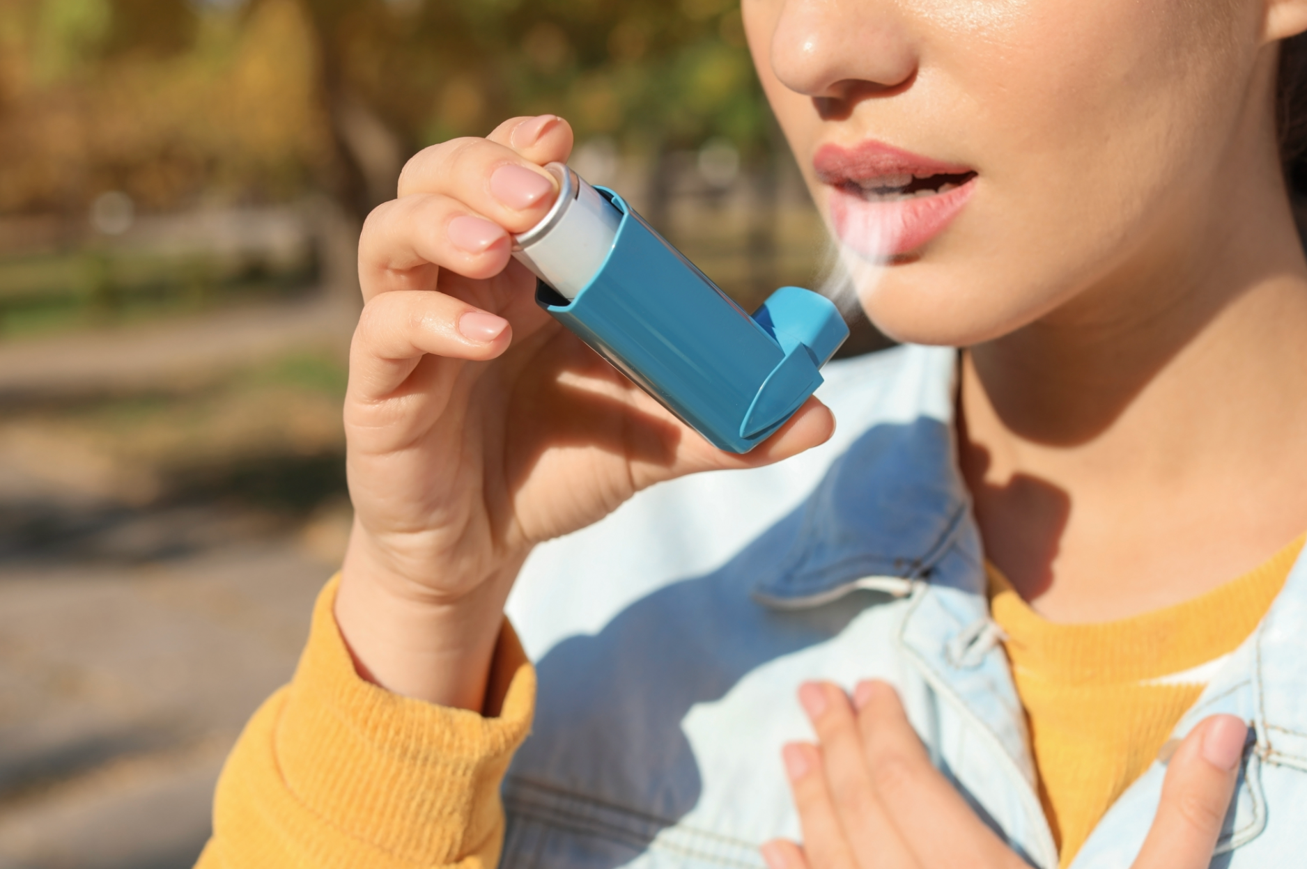 Asthma attacks can be reduced by taking black seed oil regularly as it acts as a bronchodilator.