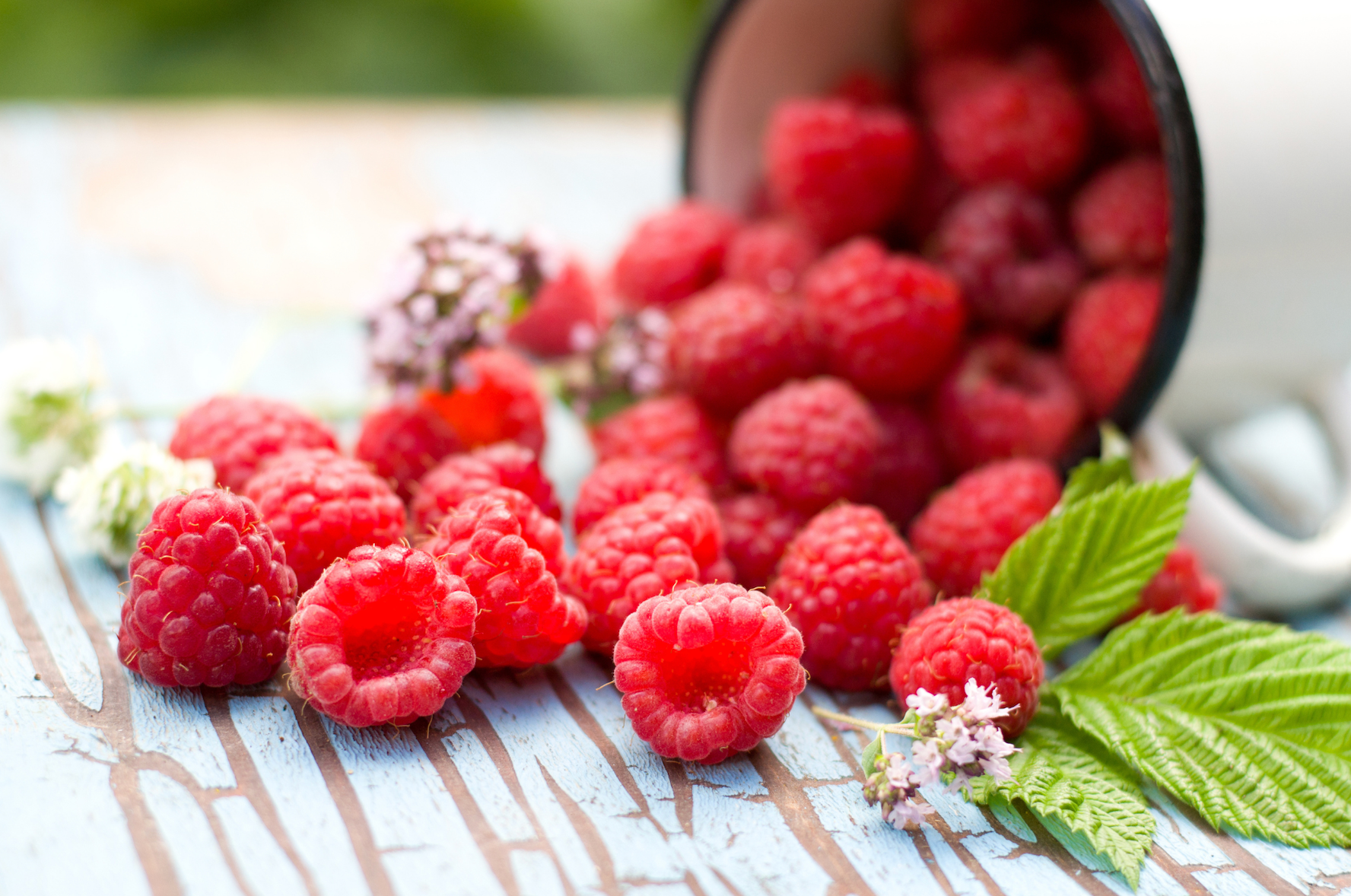 Red raspberries are delicious and have a high antioxidant content. 