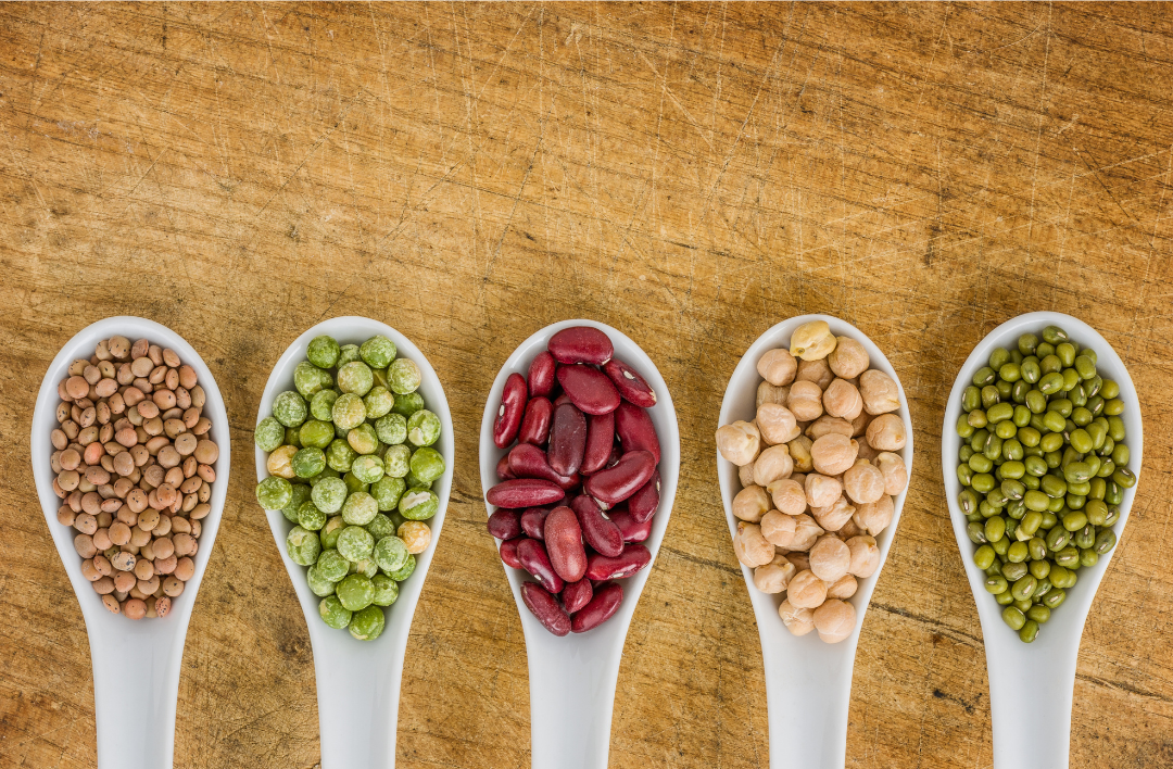 Lentils are an excellent source of plant-based protein, making them a popular choice for vegans.