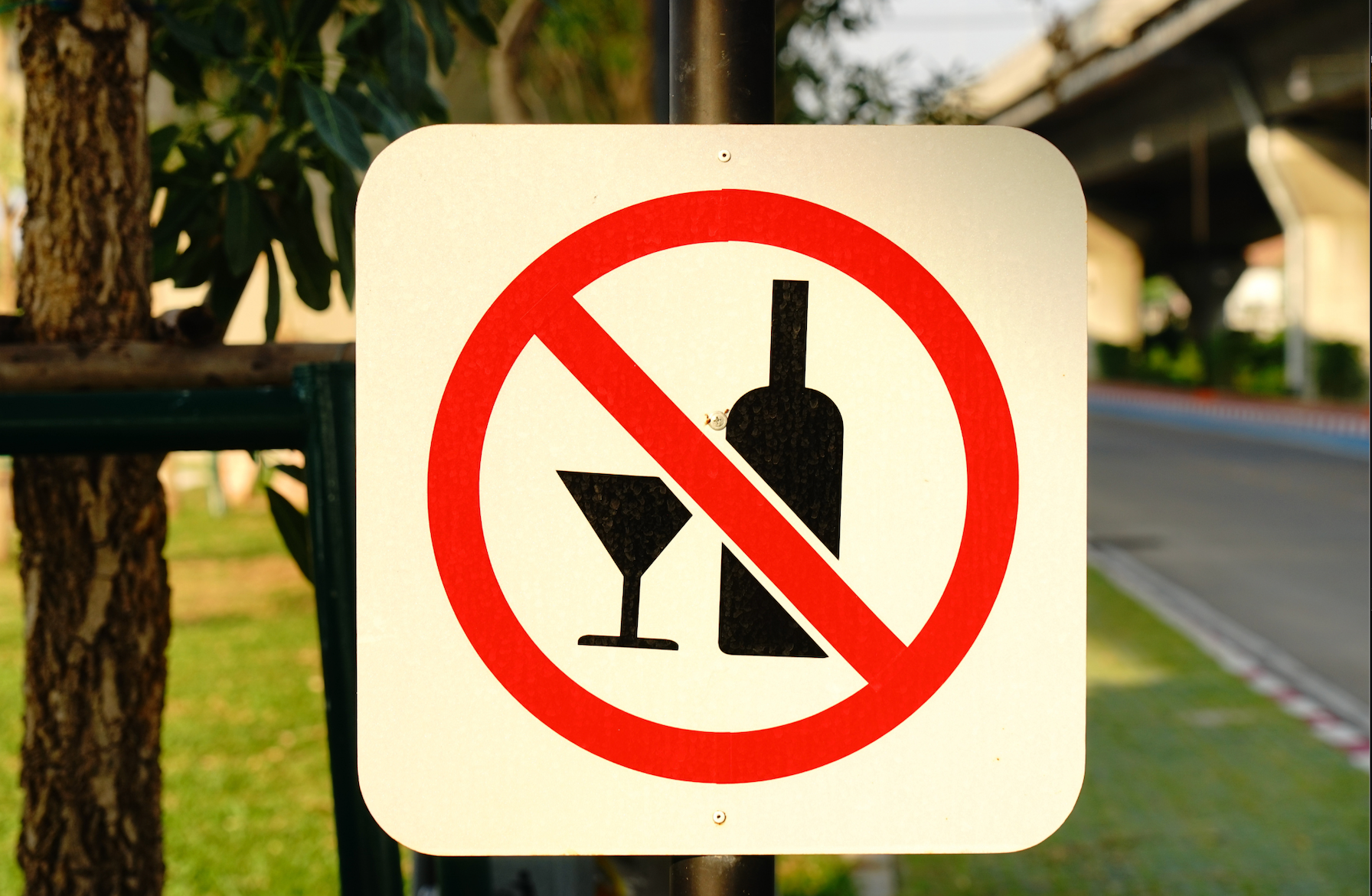 Alcohol is dangerous and can cause damage to liver cells. 