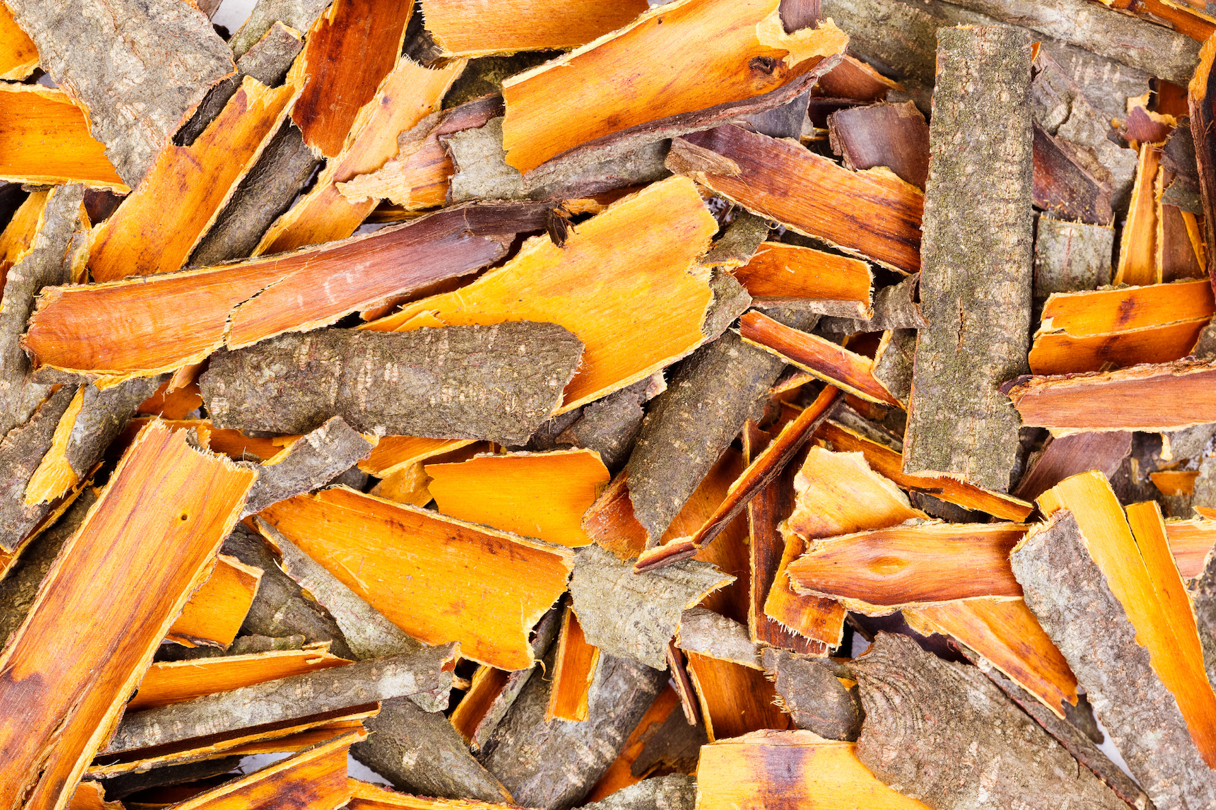 This buckthorn bark can act as a laxative by promoting regular bowel movements.